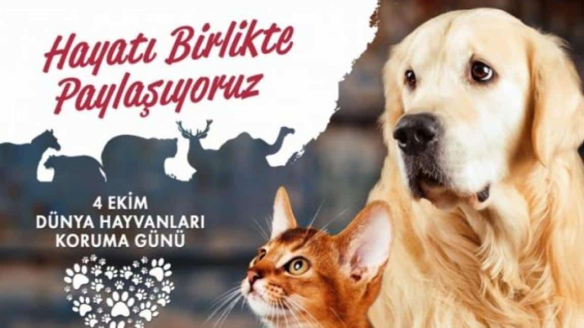 4 EKİM HAYVANLARI KORUMA GÜNÜ